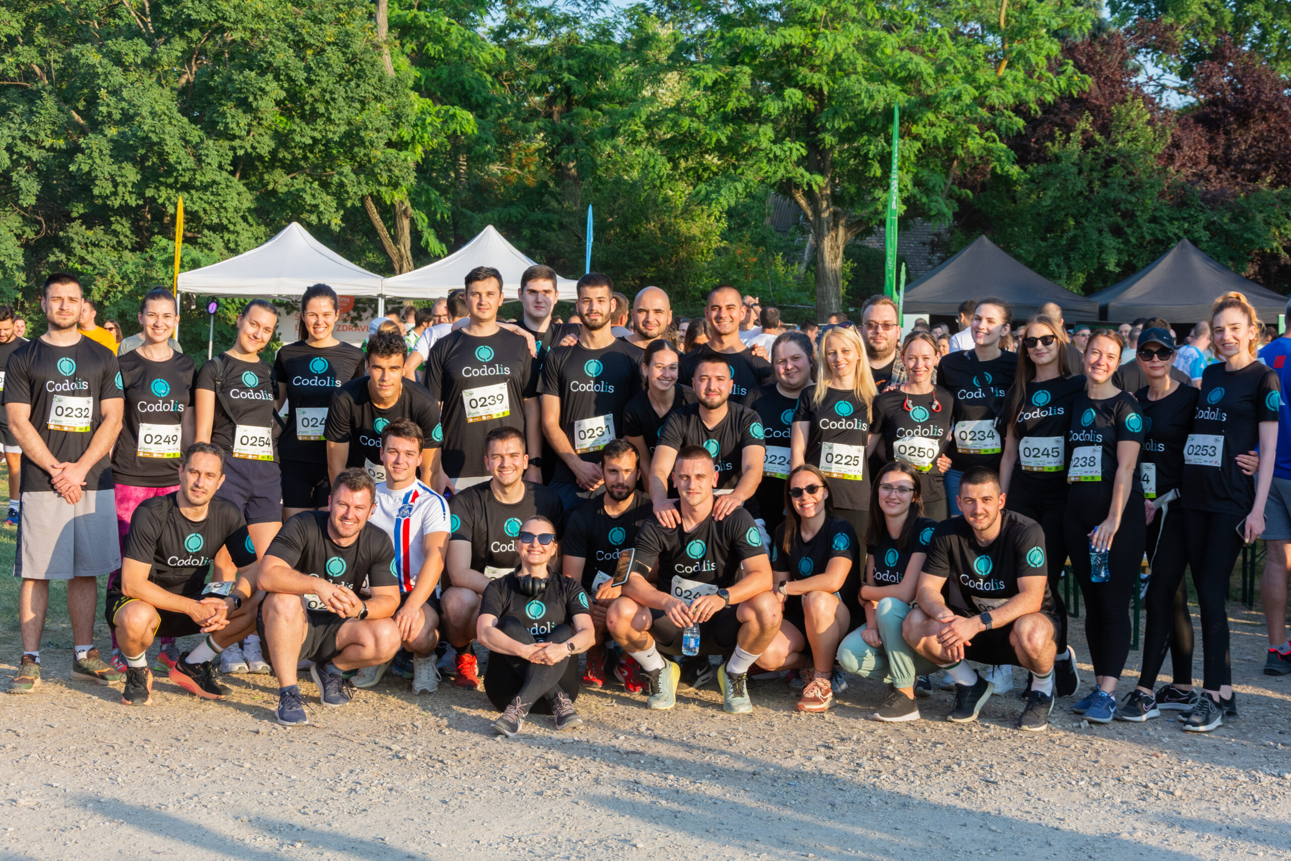 Codolis team Codolis team